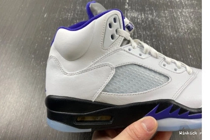 Retro Dark 5 Concord Jordan 0802
